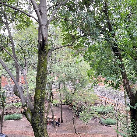 فيلا Mi Refugio San Angel مدينة مكسيكو المظهر الخارجي الصورة