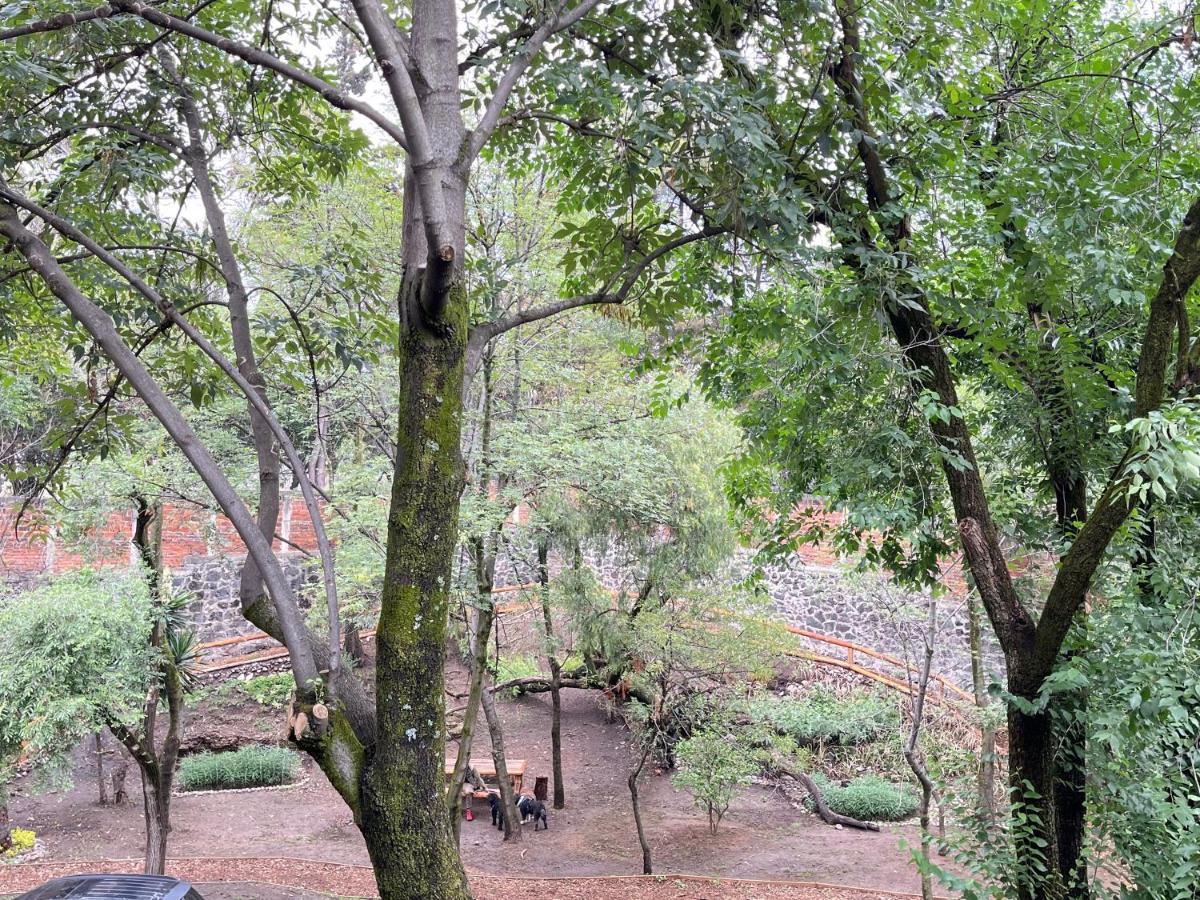 فيلا Mi Refugio San Angel مدينة مكسيكو المظهر الخارجي الصورة