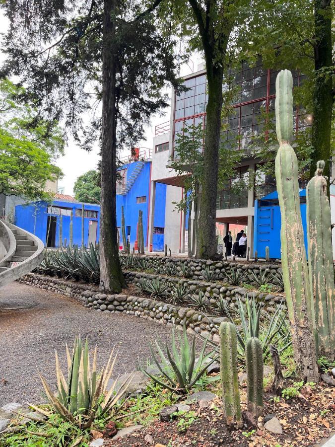 فيلا Mi Refugio San Angel مدينة مكسيكو المظهر الخارجي الصورة