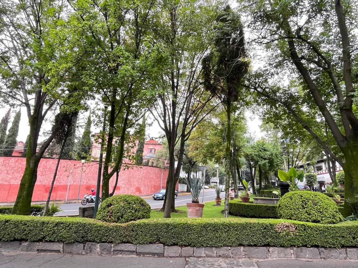 فيلا Mi Refugio San Angel مدينة مكسيكو المظهر الخارجي الصورة